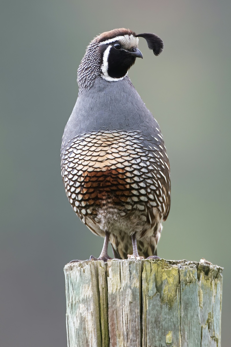 Weekly Market Insights | Fed Talk Calms Volatility for the Week