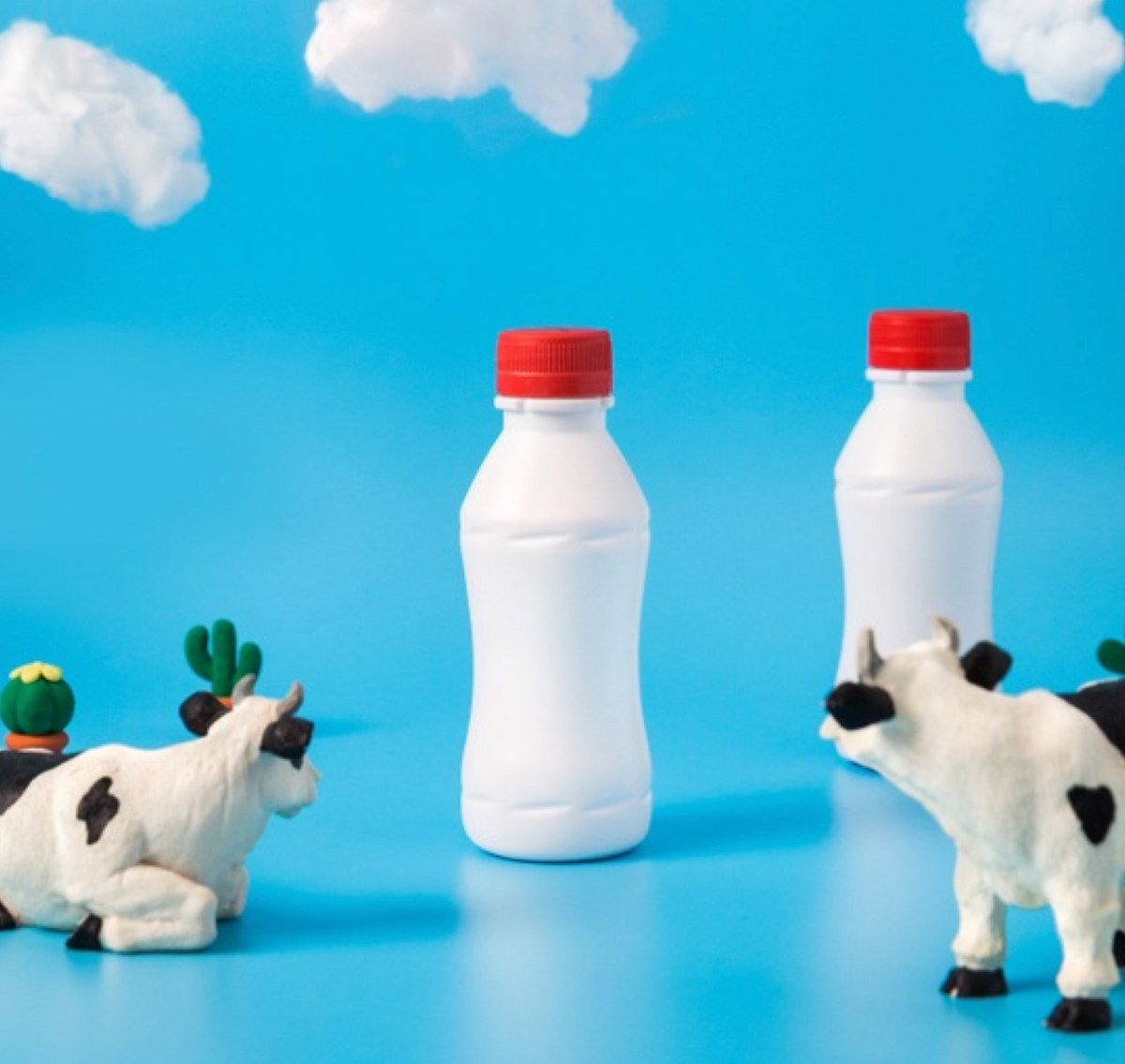 Cows, Bulls and Bears, Oh My! A Dividend Buyer’s Guide to Market Turmoil