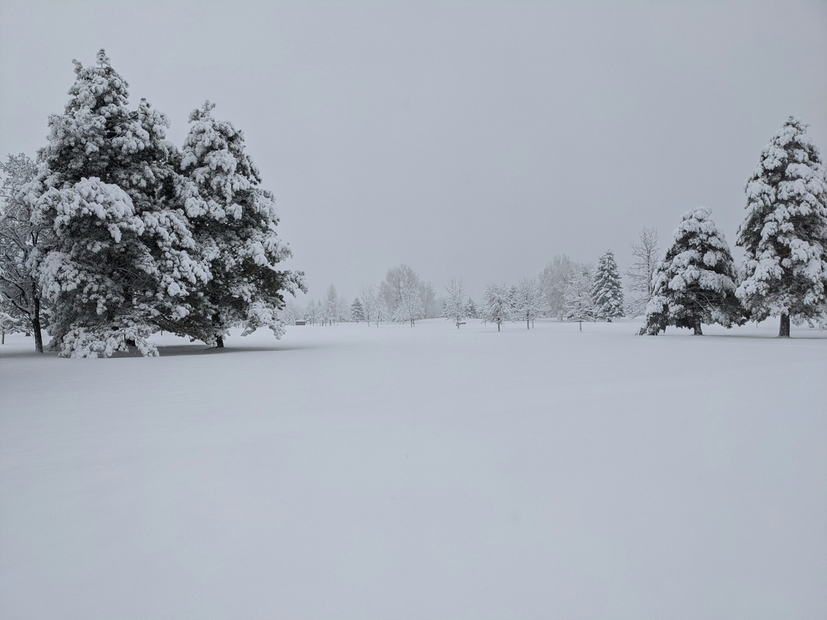 5 Essential Tips to Prepare for a Snowstorm