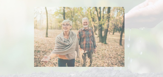 Reliable Income Planning