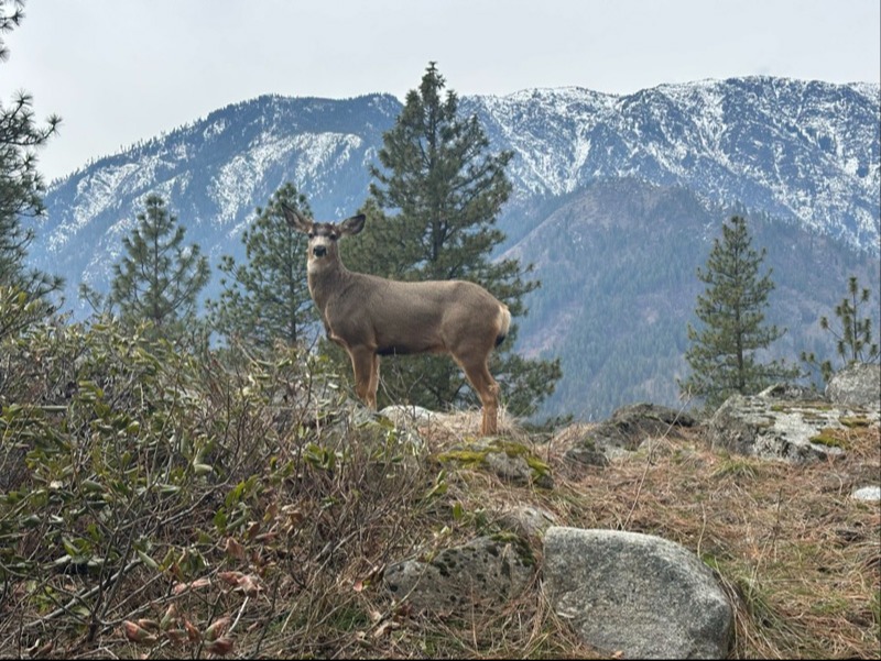 01ad5db1-aacd-44a6-8c26-660530f1bb00