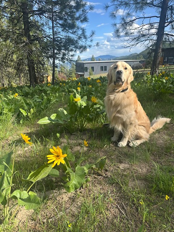 06d3ccb8-f4c1-4afb-942c-c48b9b0ac108