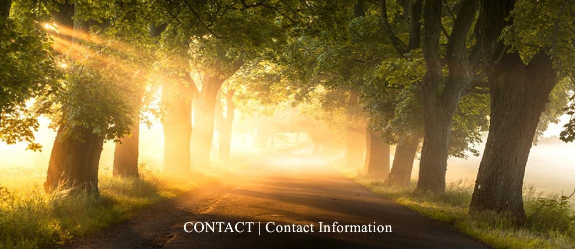 Contact Information Banner