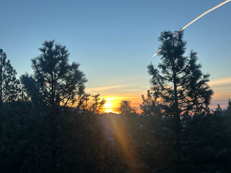 1a92e067-963c-4acd-850c-f5cac8da5227