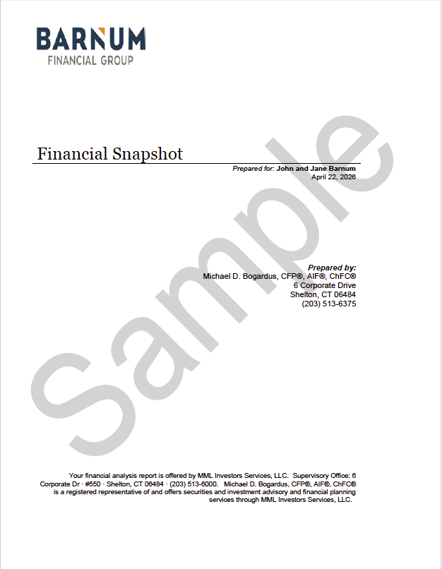Preview of a Financial Snapshot