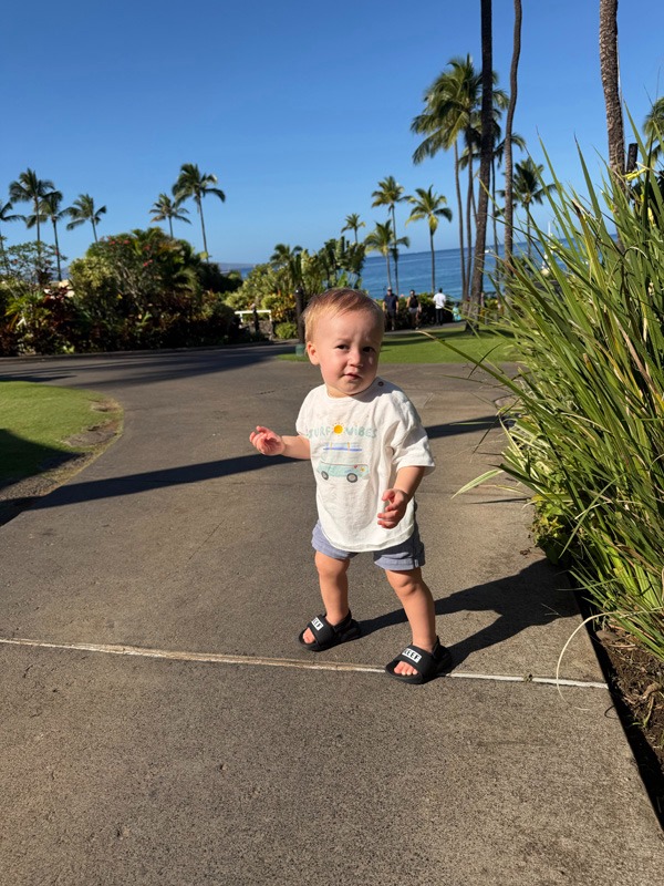 1e000c28-7e9a-4ea9-800e-fae86cecffe5