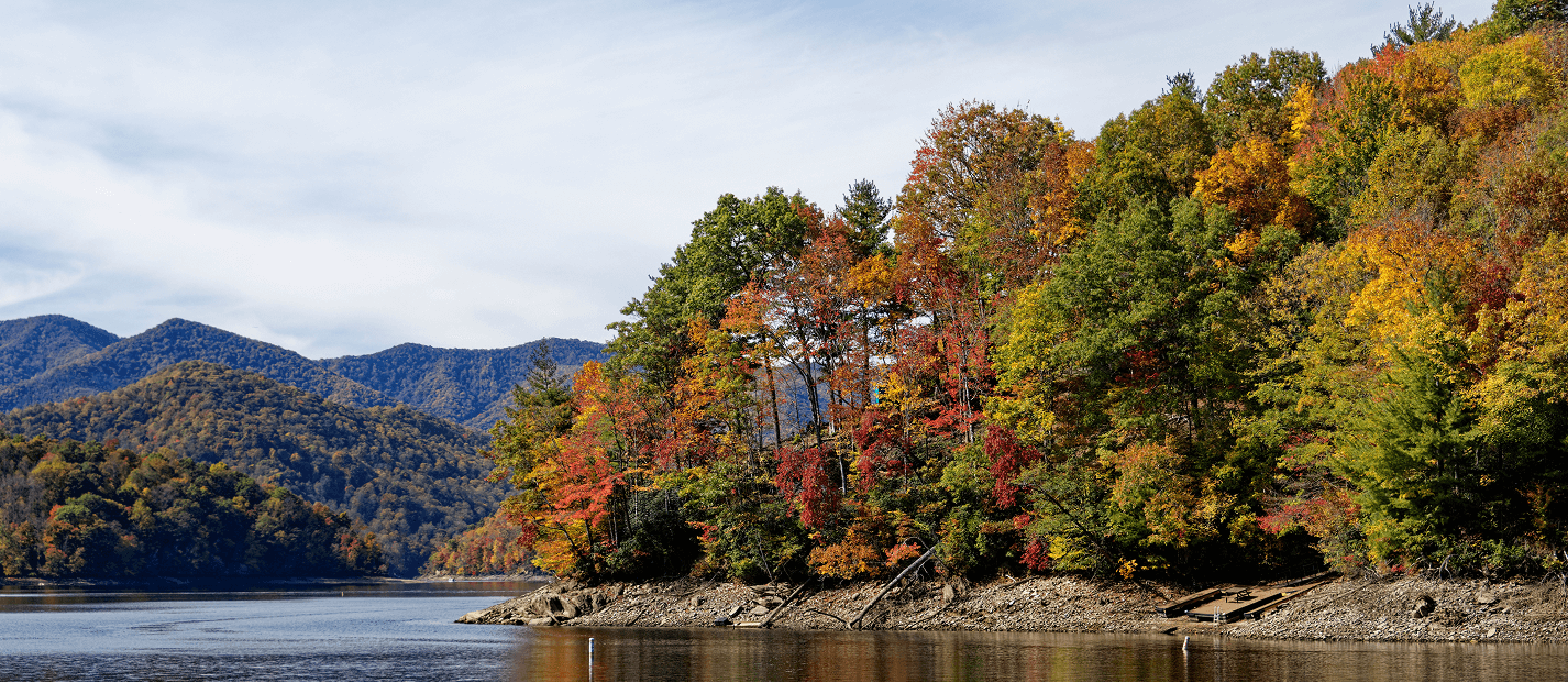lake surrounded by trees and mountains