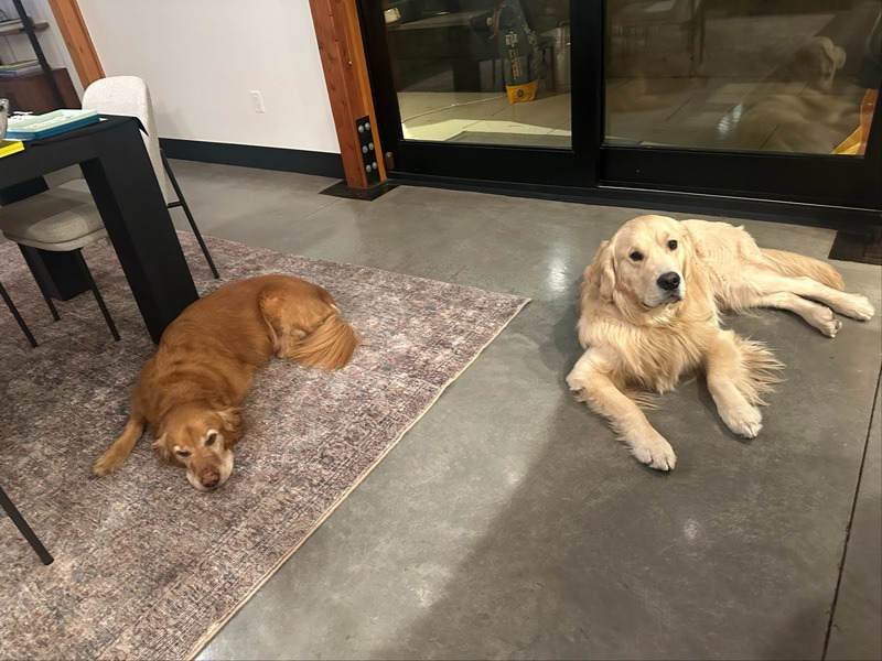 2be8edb4-1540-434b-8266-fc1fadd06264