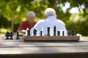 Chess Board in Park