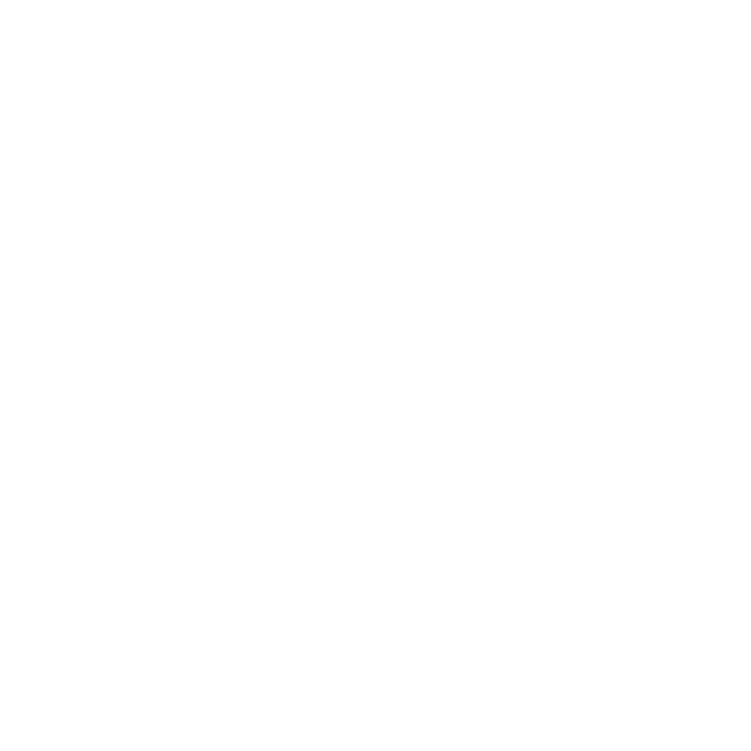 President Level Badge