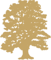 Vosler Investment Group Logo