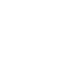 Pinnacle level badge