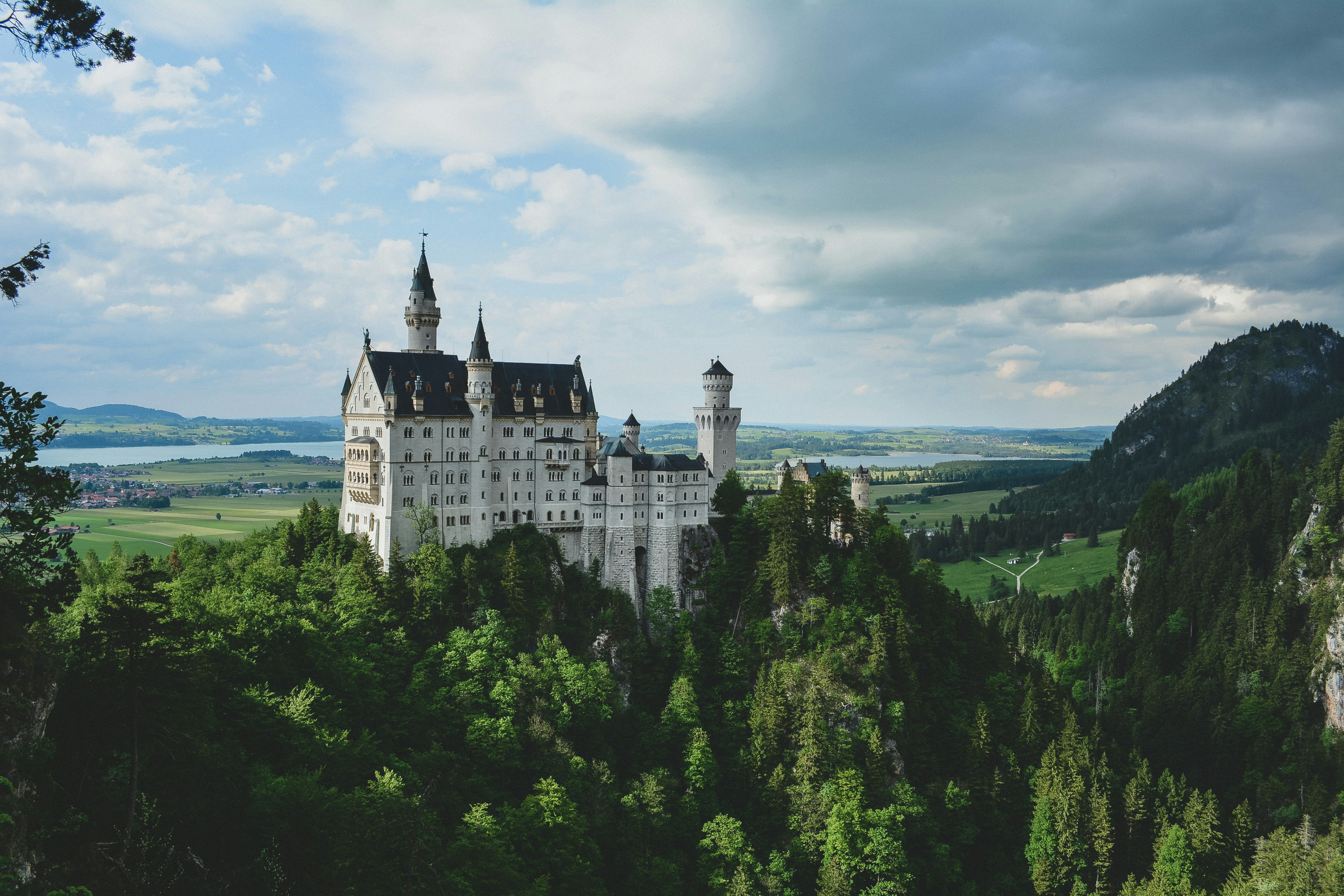 castle in the woods