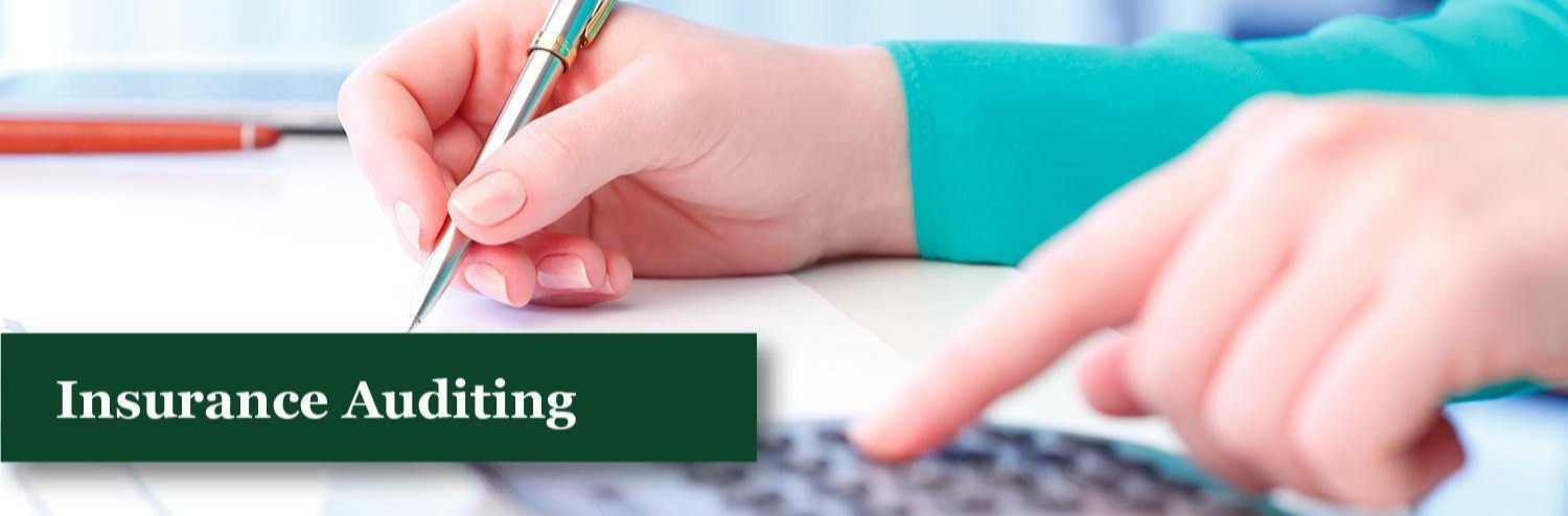 Insurance Auditing Banner