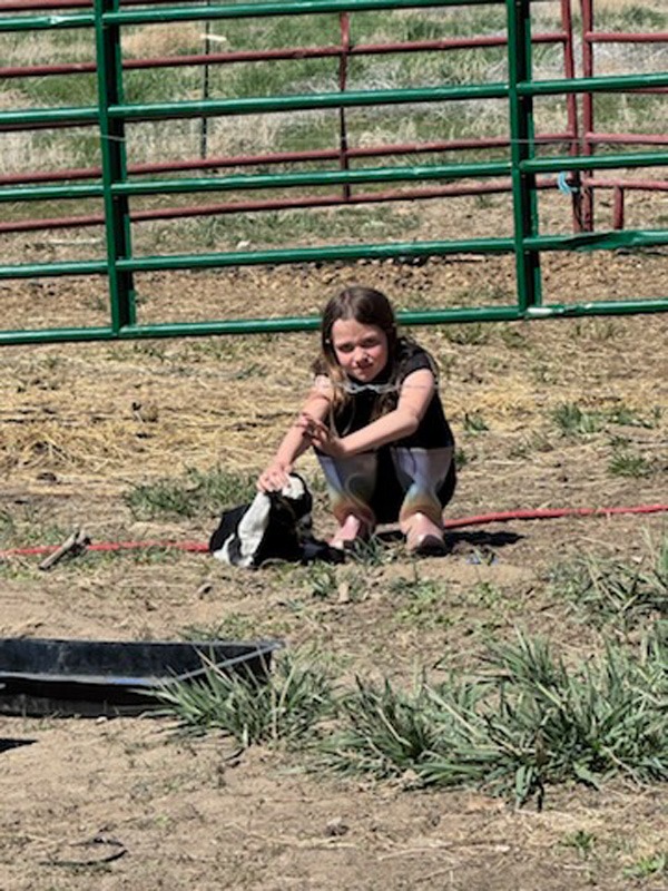 73aabf02-9f6c-41fc-8174-2deeabfcd74b