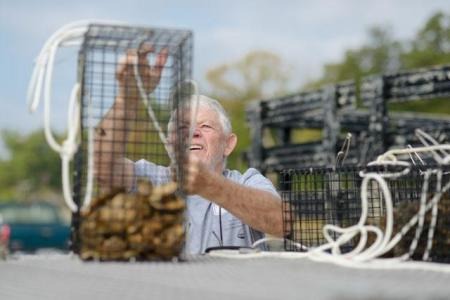 loading cages