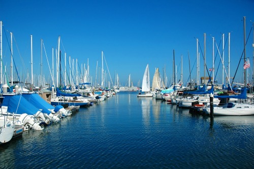 Boats and yachts in a marina 