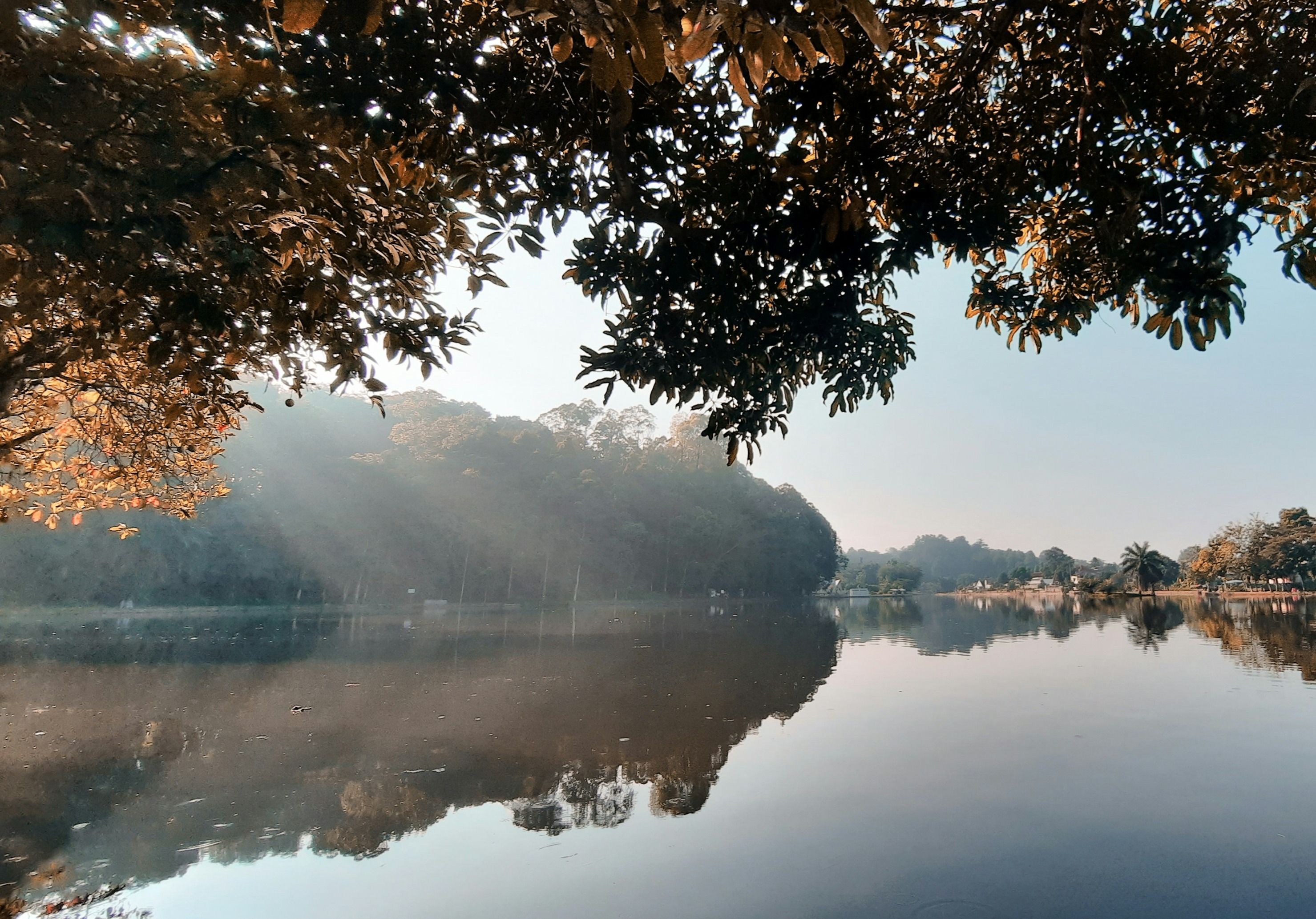 early morning sunrise on the lake