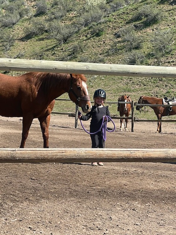 84dfc567-4bdd-448e-833f-86390048f0a4