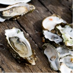 Oyster-Shells