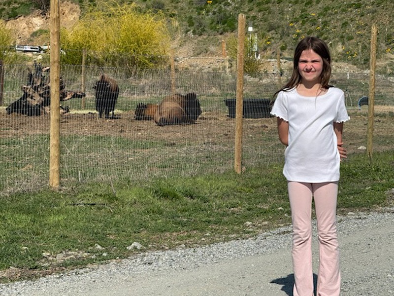 92c618d7-ad3b-4bf0-bfb8-bf8211b2c5bf