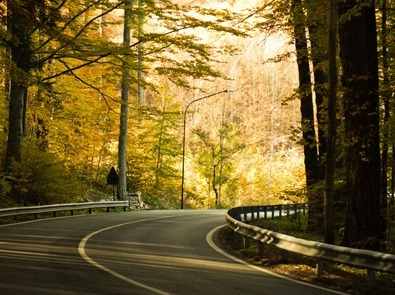 iStock_000014671877Large