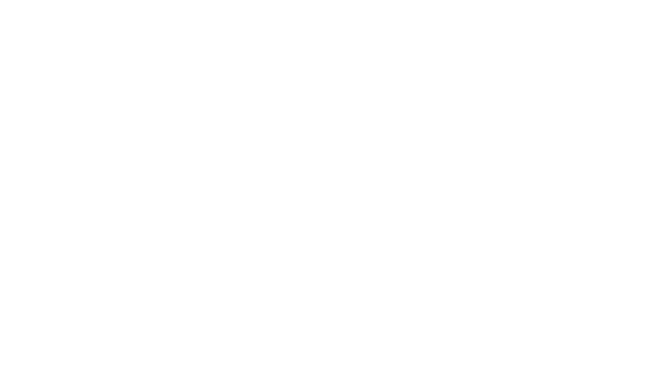 USAFrance Financials Group Logo
