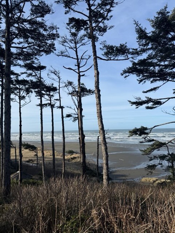 ade27e77-681c-4049-9a58-5a9bbf726299