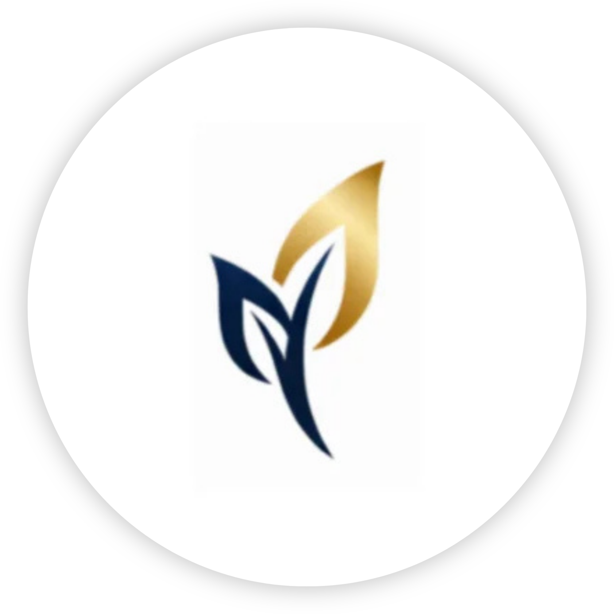 Gomez Wealth Solutions