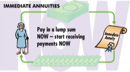 Immediate Annuities