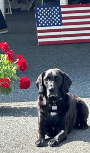 Eglseder_VeteransBBQ_Jake_CC/