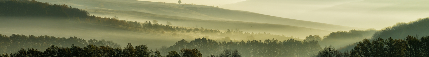 High view of forest and valley in the horizon