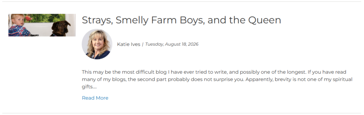 Blog