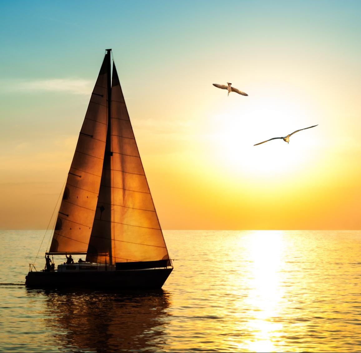 Sailboat at sunset with seagulls