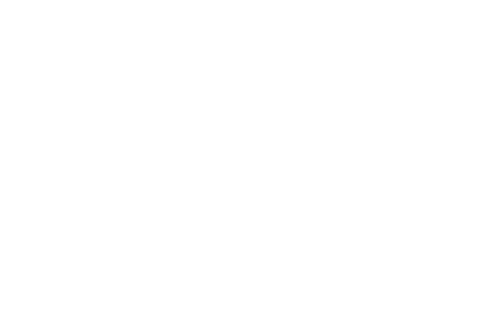 2024 Touchstone Independent Film Festival