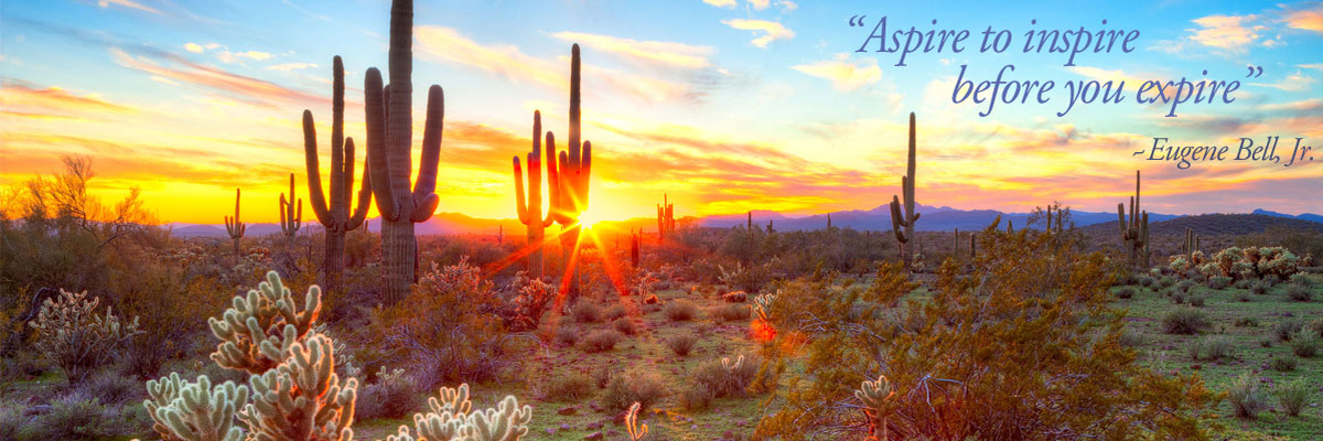 Desert landscape at sunset with cacti