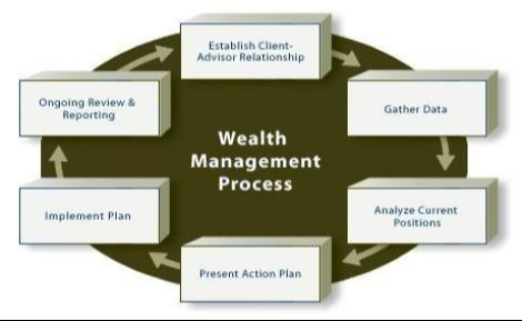 Wealth Management Process: Establish Client-Advisor Relationship, Ongoing Review & Reporting, Gather Data, Analyze Current Positions, Present Action Plan, Implement Plan