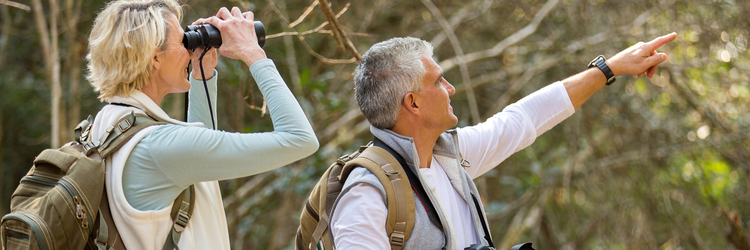 couple-sight-seeing-in-the-forest