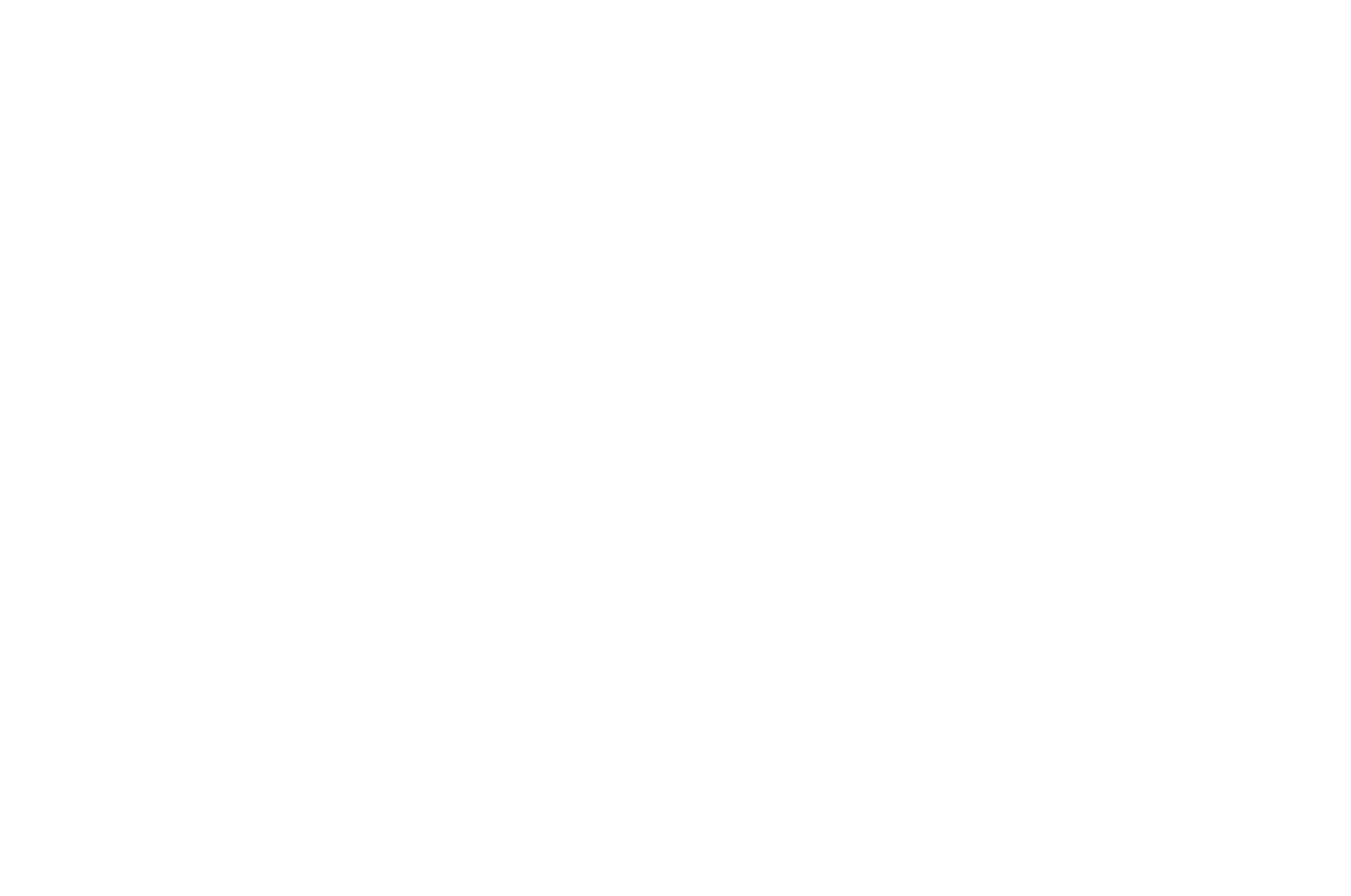 2024 Director's Cut International Film Festival