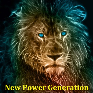 New Power Generation Inc. /  NPG Financial Services Inc.