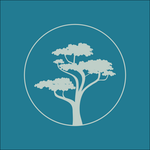 Beach House Wealth Management