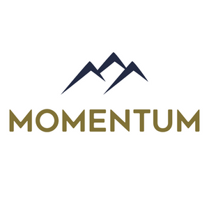 Momentum