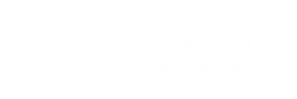 The Gaffaney Otte Group Home