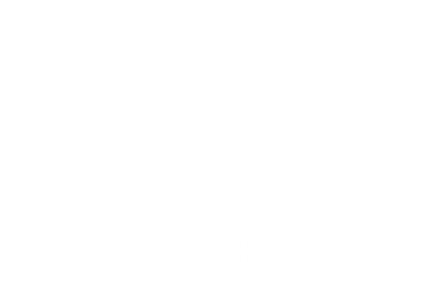 Katapult Wealth Partners Home