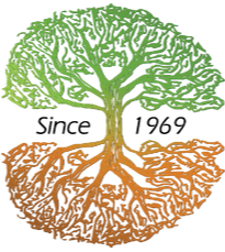 Taylor & Padgett Wealth & Legacy Strategies Home