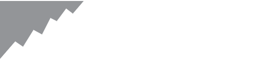 Disciplined Investors Home