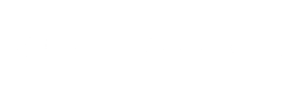 Bins Financial Home