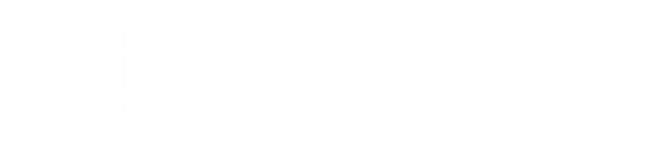 Simple Impact LLC Home