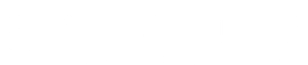 Sandlapper Wealth Advisory Home