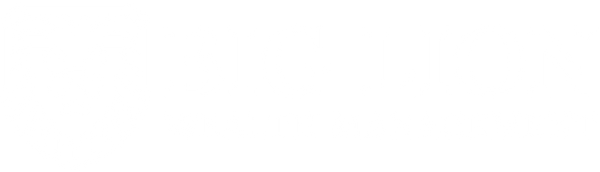 Big Lion Wealth Management Home